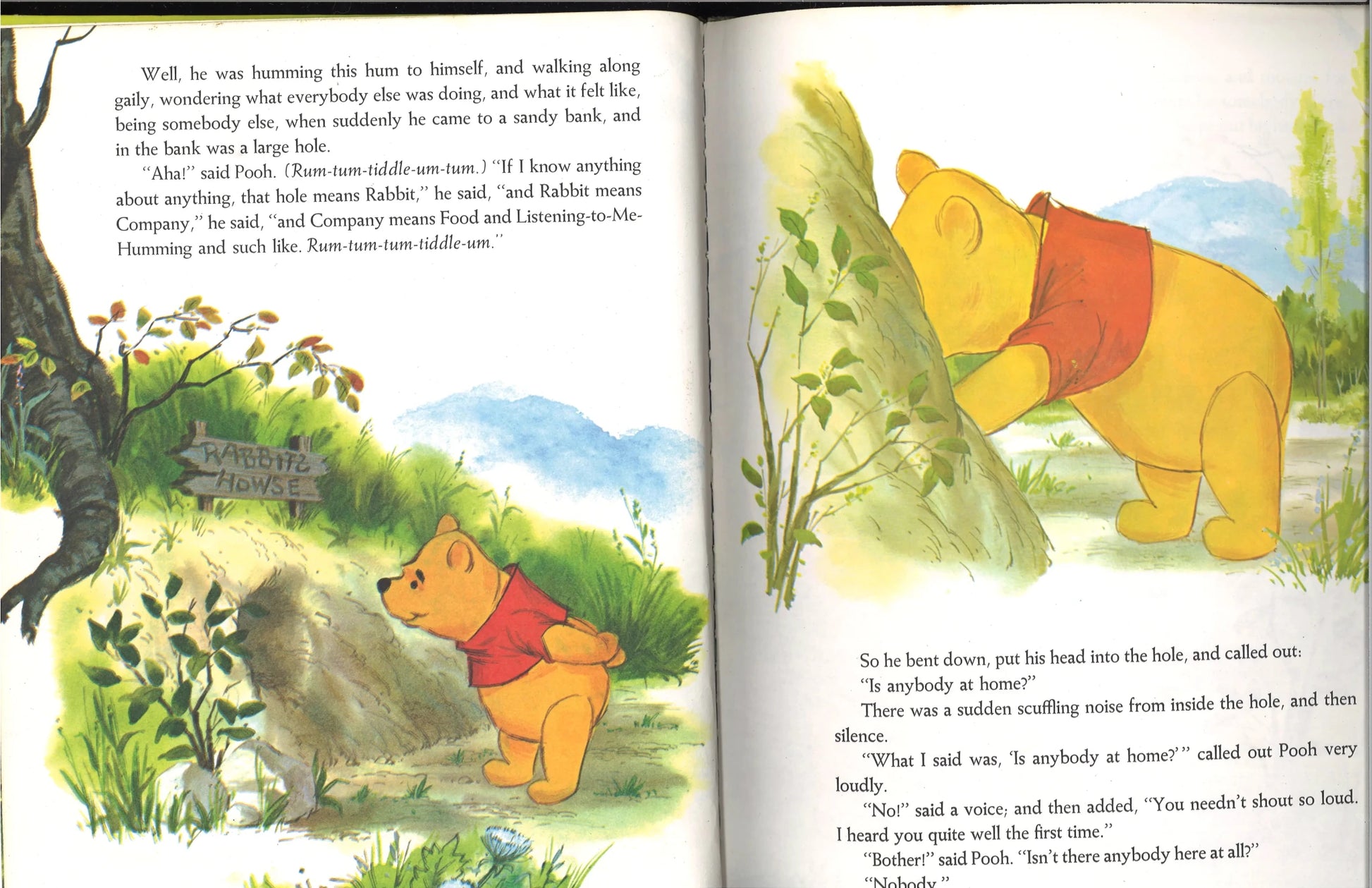Winnie-The-Pooh: A Tight Squeeze - The Bookstore