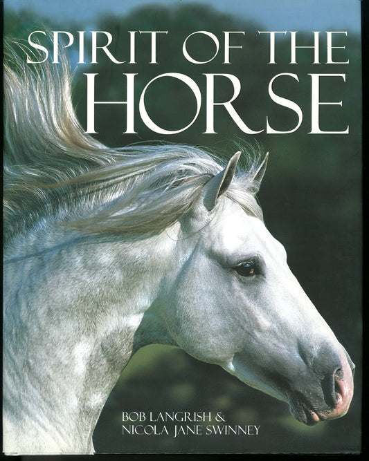 Spirit of The Horse